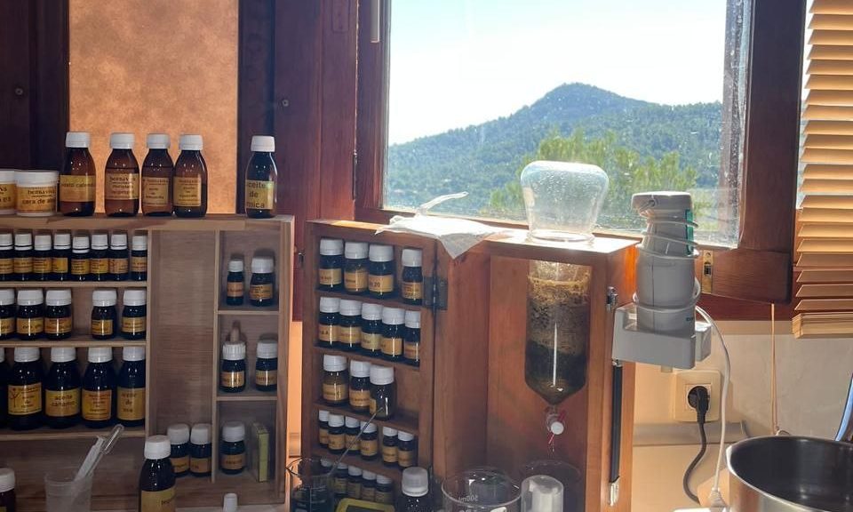 🌱Estudiar cosmética natural. Mi cómo y mi porqué.