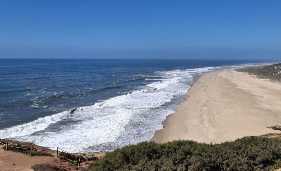 Ingredientes Marítimos en Cosmética Natural: El Poder del Mar en tu Rutina de Skincare