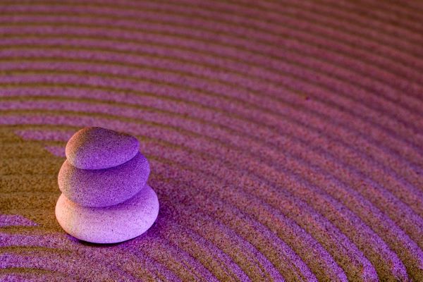 Ikigai y naturaleza: cómo encontrar tu propósito de vida de forma natural