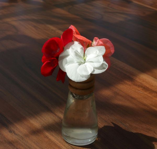 Ambientadores naturales: perfuma tu hogar sin tóxicos
